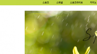 새싹 먹튀 검증 완료